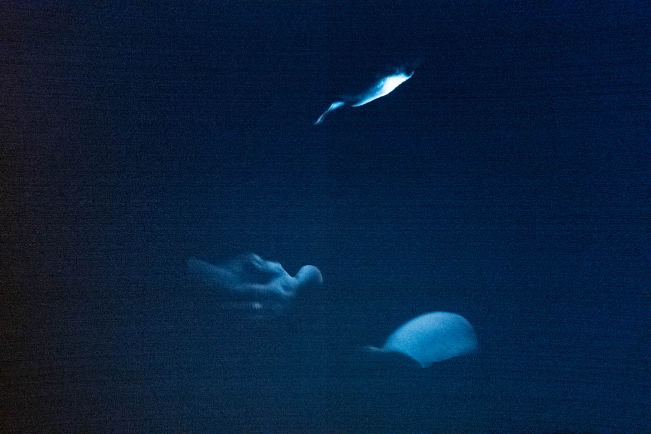 A night of pain 2 – L1050338